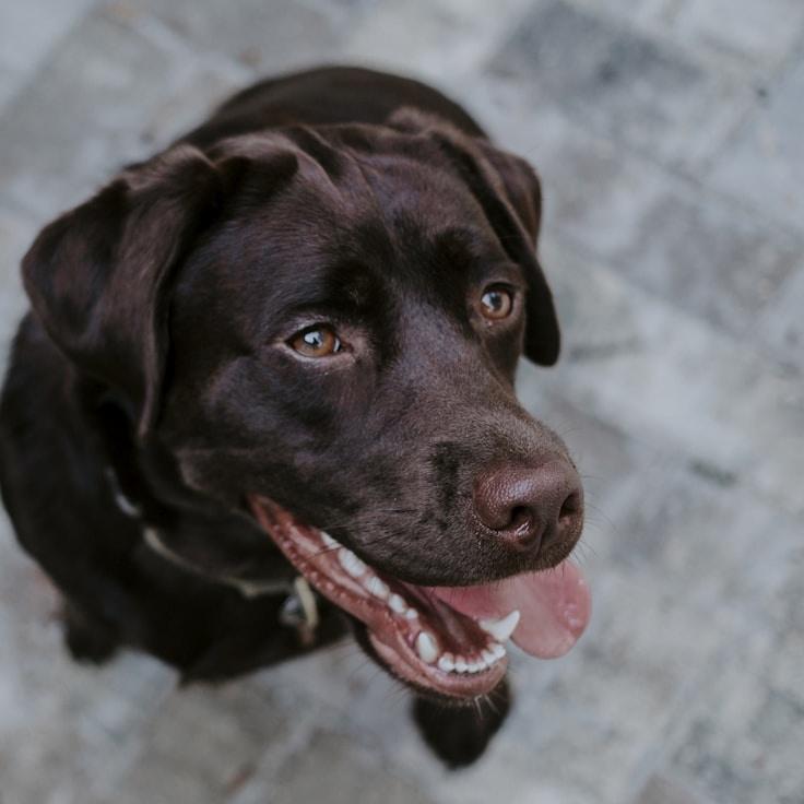 Avery Chen, Lead Design Curator at Pearl Grove Harbor, reviewing corporate floral arrangements