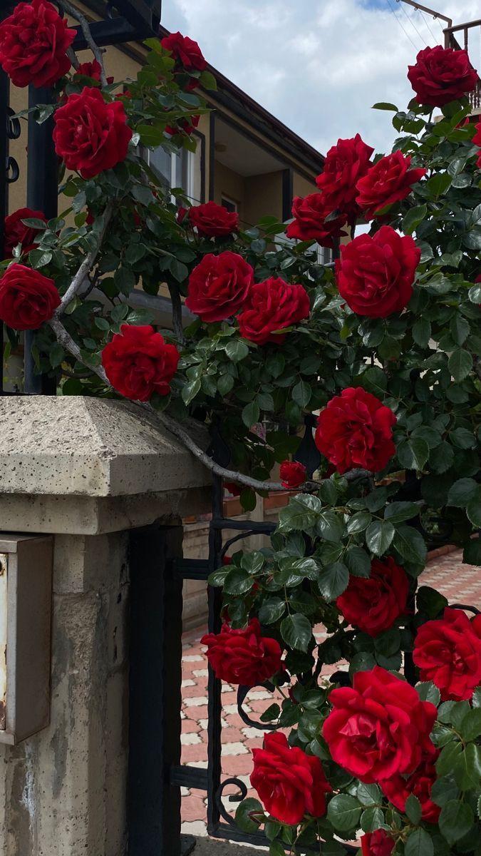 Corporate floral consultation example